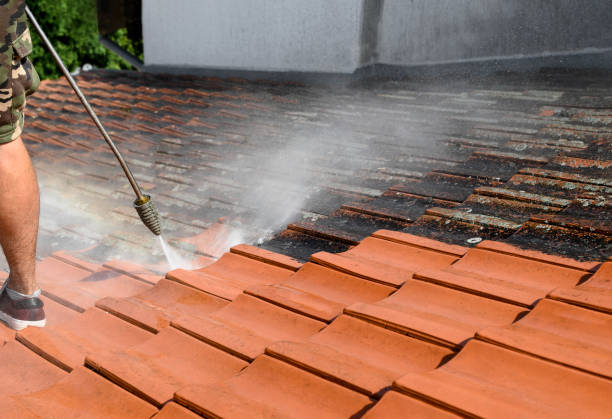 Best Affordable Power Washing  in Rosita, TX