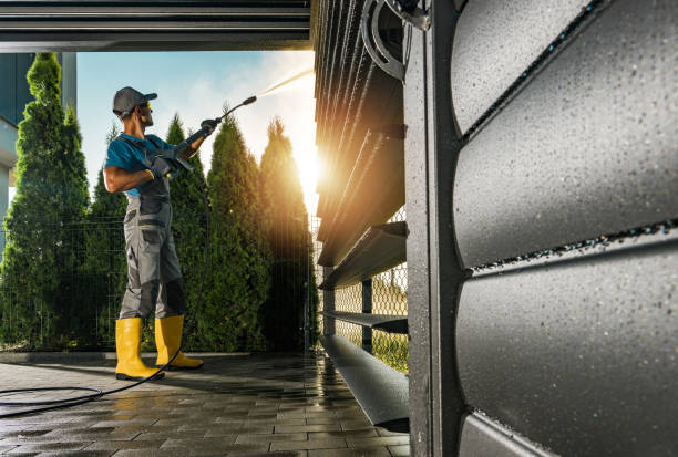 Best Pressure Washing Driveway  in Rosita, TX